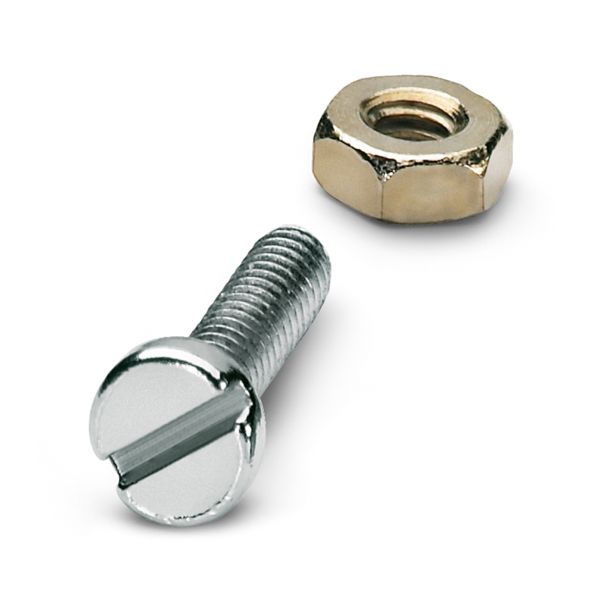FTP SCREW M3X4,5 — Винты