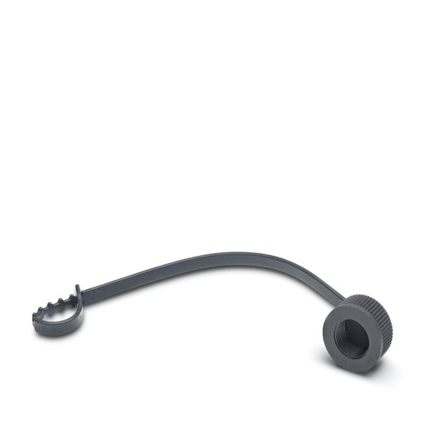 PROT-M12 FS-PA-CHAIN — Колпачок