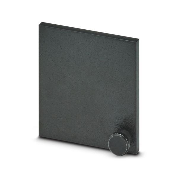 BLIND PLATE FOR BANK HOUSING — Перегородка