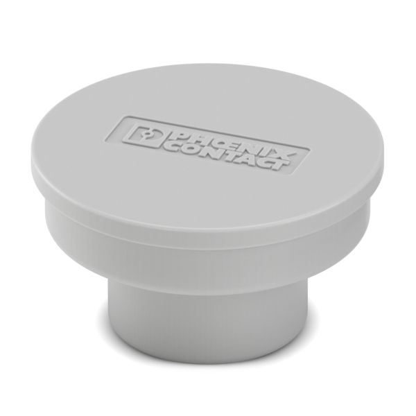 BPC 250 FT 35-70 CAP — Крышка для защиты от пыли