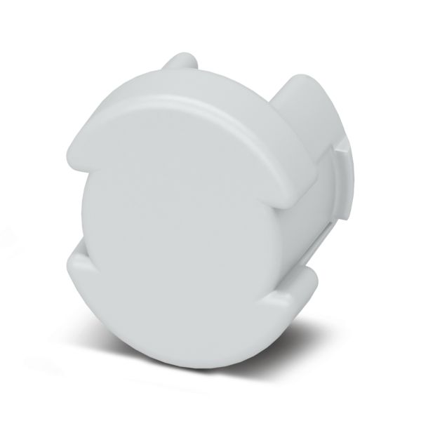 POTI SEALING PLUG — Заглушка