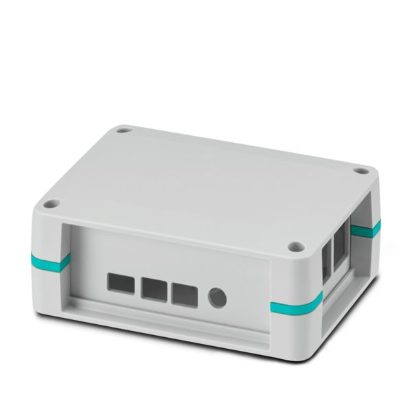 UCS 125-87-F-GD-RPI4B 7035 — Универсальный корпус