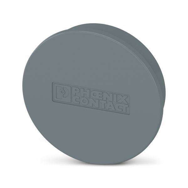 ES-FT-BPC 95-120 PROTECTION CAP — Штекерный соединитель