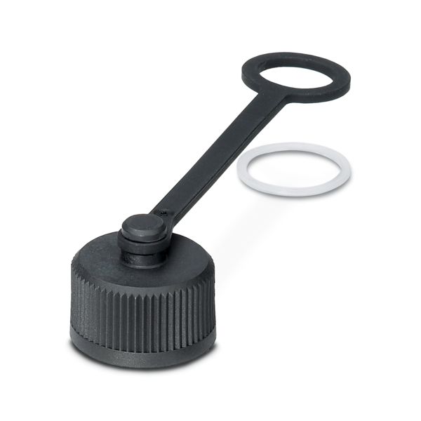 PROT-M12 FS-PA-CHAIN-EYE-DM12 — Колпачок