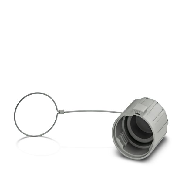 QPD QSK GY 5X2,5 FS — Защитный колпачок
