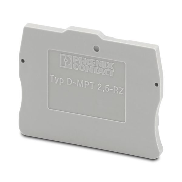 D-MPT 2,5-RZ — Концевая крышка