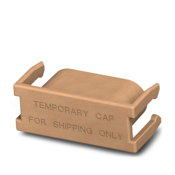 PV-MI-YC-CARRIER-CAP-TP — Защитный колпачок