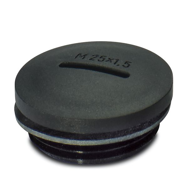 HC-K-BS-M25 BK — Заглушка