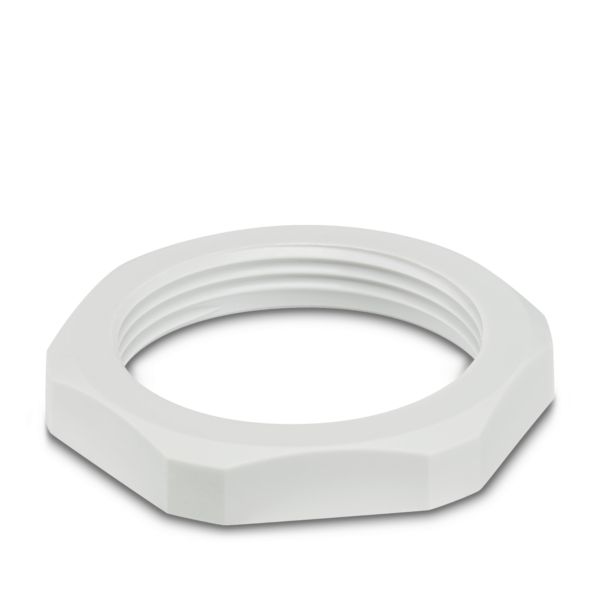 WP-CN PA PG29 — Контргайка