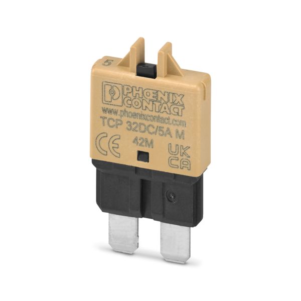 TCP 32DC/5A M — Тепловой защитный выключатель