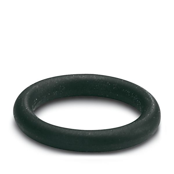 EV-T2M3S-E-LOCK-GASKET — Уплотнение