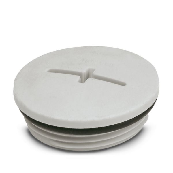 A-INSP-M32-68N-P-LG — Резьбовой колпачок