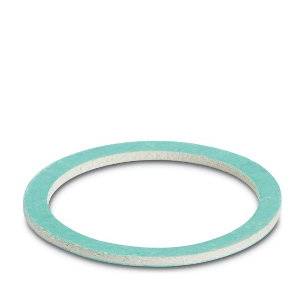 SH-FLAT-SEAL-0,5 — Плоское уплотнение