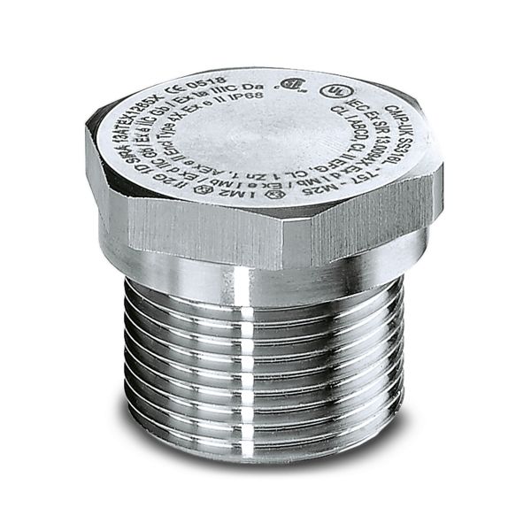 A-EXSH-M25-68L-S-S — Резьбовой колпачок