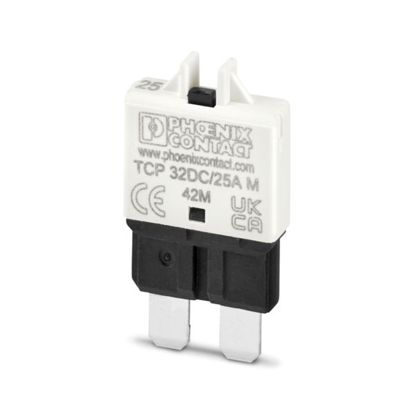 TCP 32DC/25A M — Тепловой защитный выключатель
