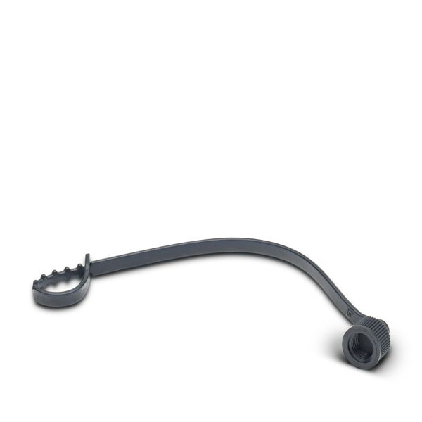 PROT-M 8 FS-PA-CHAIN — Колпачок