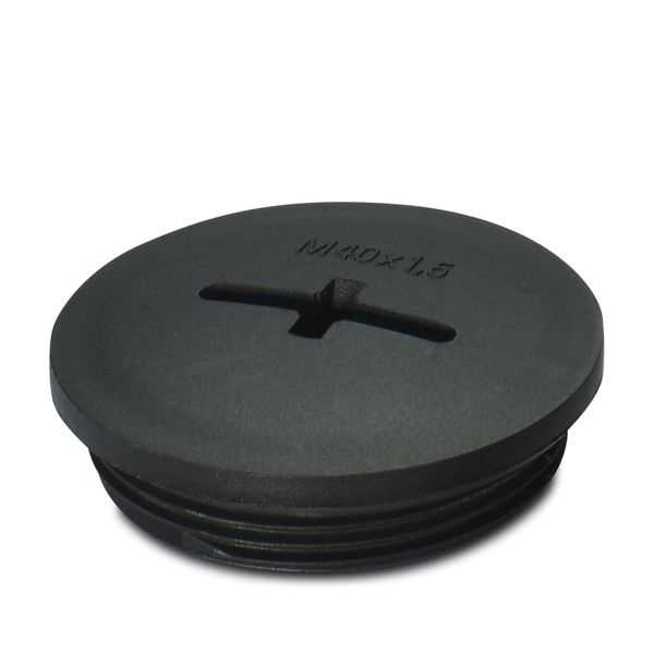A-INSP-M40-65N-P-BK — Резьбовой колпачок