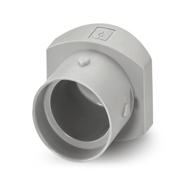 IPD CAP W32 WP GY — Защитный колпачок