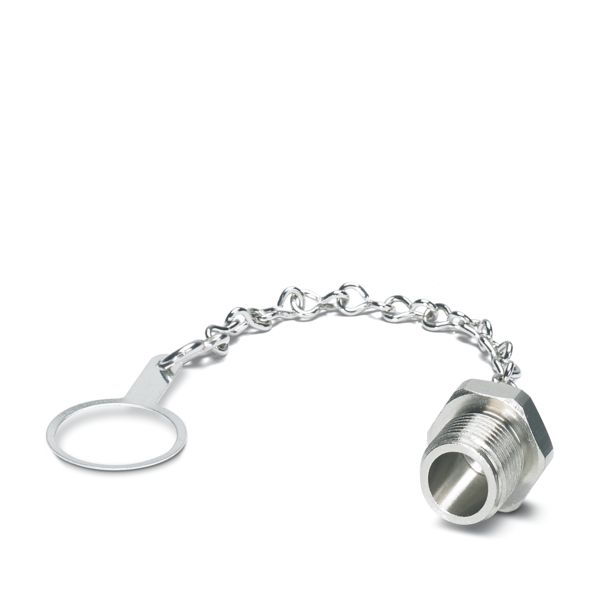PROT-M12 MS-M-CHAIN PPI — Колпачок