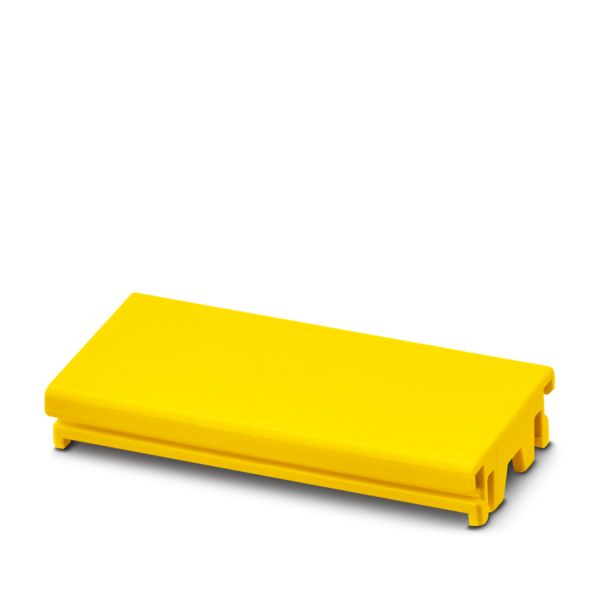 ICS20-F45S-1018 — Заглушка для разъема