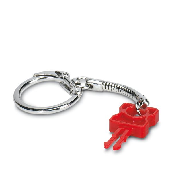 FL PATCH GUARD KEY — Обозначение