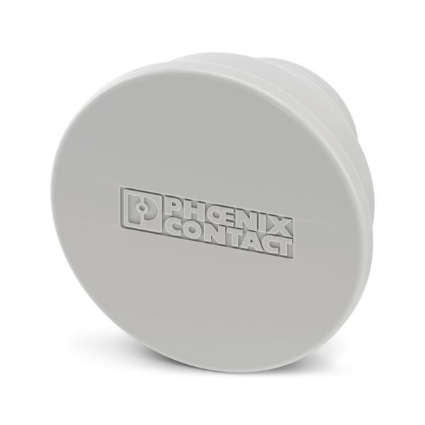 ES-FT-BPC 35 PROTECTION CAP — Крышка для защиты от пыли