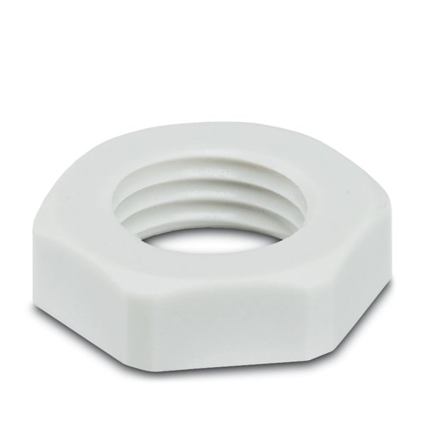 WP-CN PA PG7 — Контргайка