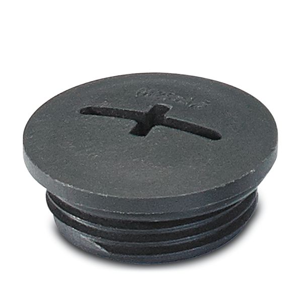 A-INSP-M20-65N-P-BK — Резьбовой колпачок