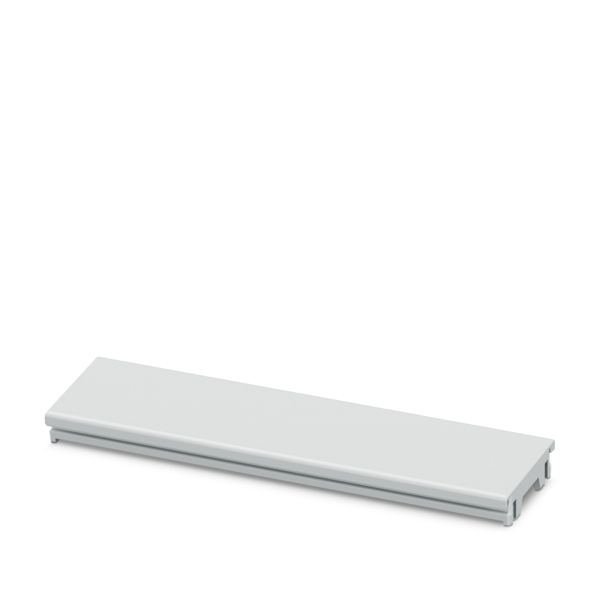 ICS25-F90S-7035 — Заглушка для разъема