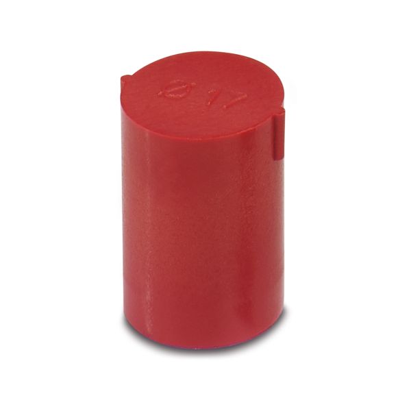 SEALING PLUG 17X17 RD — Заглушка
