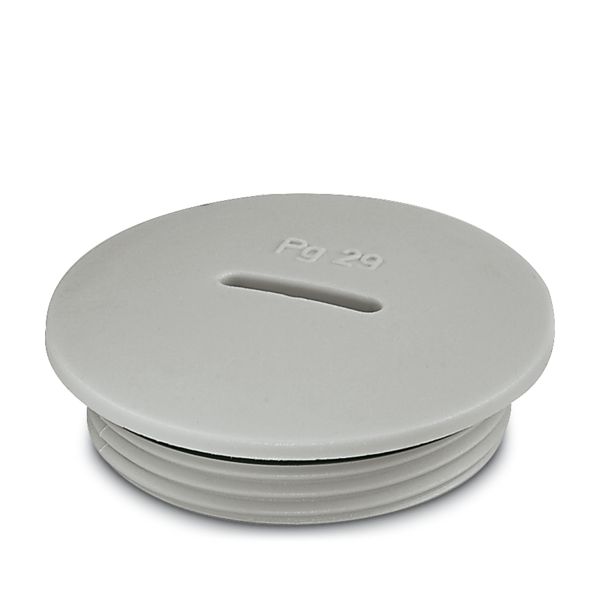 A-INSP-PG29-65N-P-LG — Резьбовой колпачок