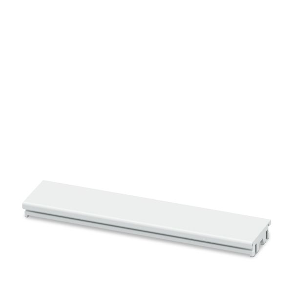ICS20-F90S-7035 — Заглушка для разъема