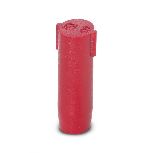 SEALING PLUG 6X16 RD — Заглушка