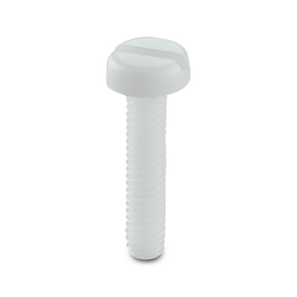 SCHR. KUNSTST. M6X25MM DIN85 — Винты