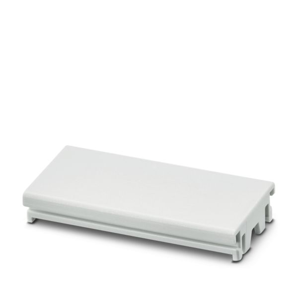 ICS20-F45S-7035 — Заглушка для разъема