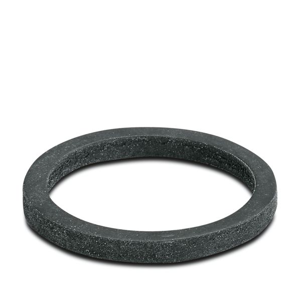 WP-FS IP68 PG21 — Плоское уплотнение