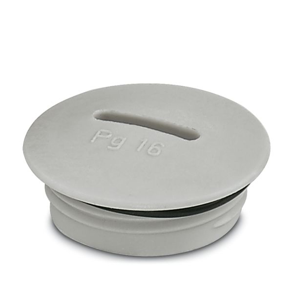 A-INSP-PG16-65N-P-LG — Резьбовой колпачок
