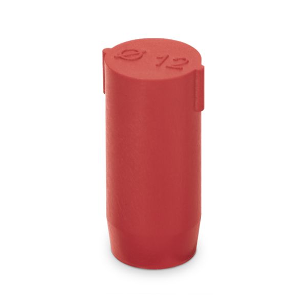 SEALING PLUG 12X22 RD — Заглушка