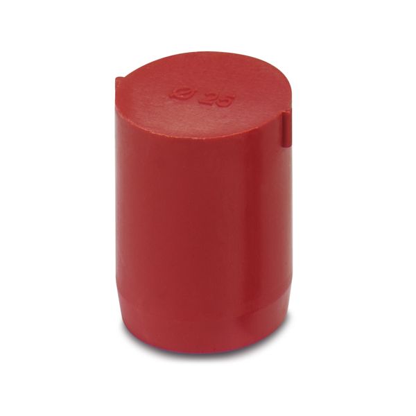 SEALING PLUG 25X30 RD — Заглушка