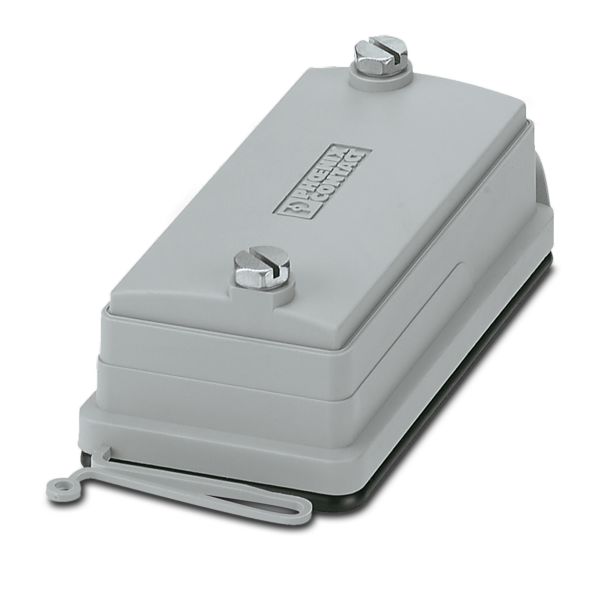 HC-B 10-TMS-SD-IP66 — Защитная крышка