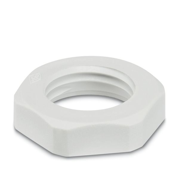 WP-CN PA PG9 — Контргайка