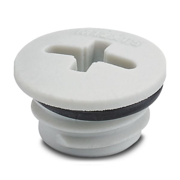 A-INSP-M12-68N-P-LG — Резьбовой колпачок