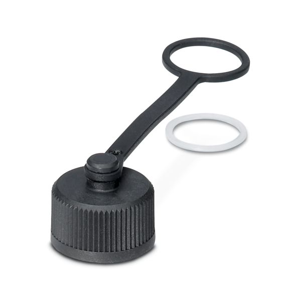 PROT-M12 FS-PA-CHAIN-EYE-DM14 — Колпачок