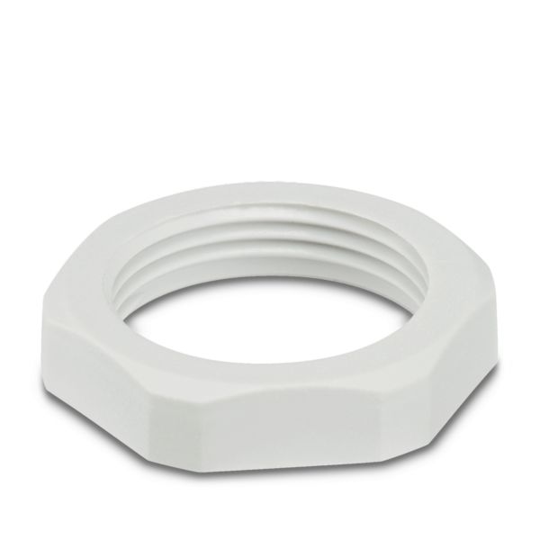 WP-CN PA PG21 — Контргайка