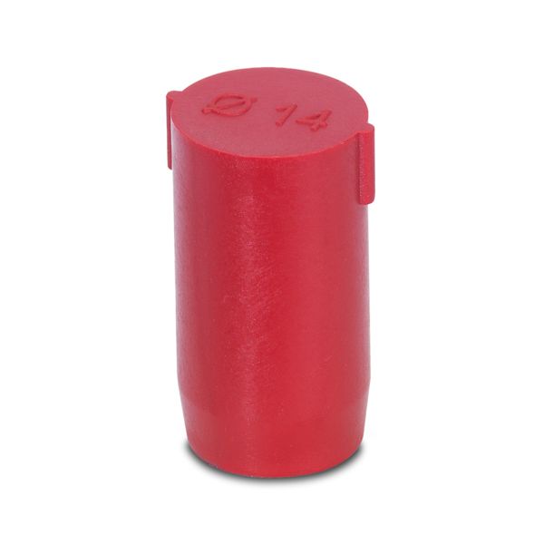 SEALING PLUG 14X22 RD — Заглушка
