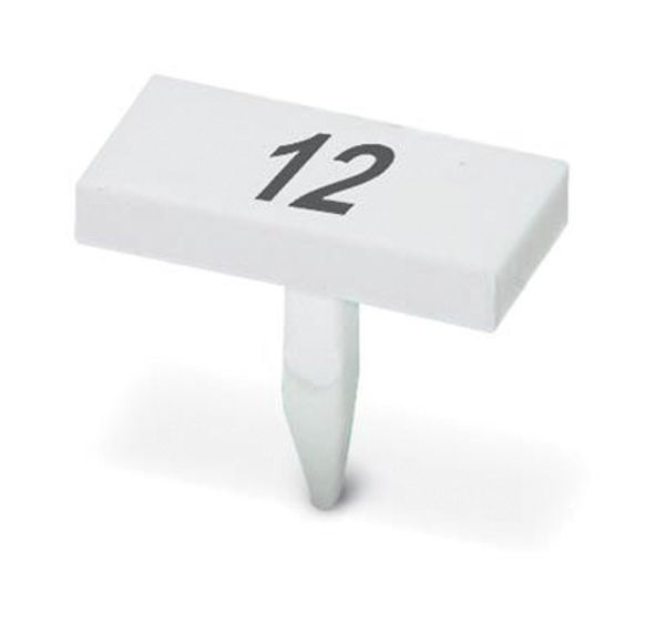 BNB-TRK:GLEICHE ZAHLEN 16 — Полоса Zack