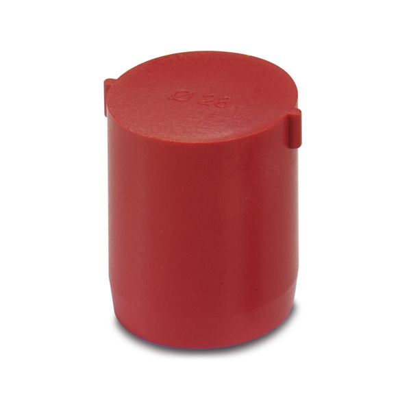 SEALING PLUG 28X30 RD — Заглушка
