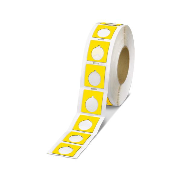 EMLP 30 (45X10)R YE CUS — Пластиковая табличка с отверстием