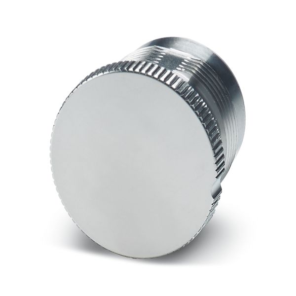 SH-Z2301 — Металлический защитный колпачок
