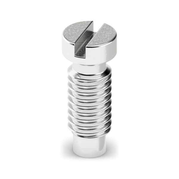SCM4-6 CUZN 5 / 12 L — Винты